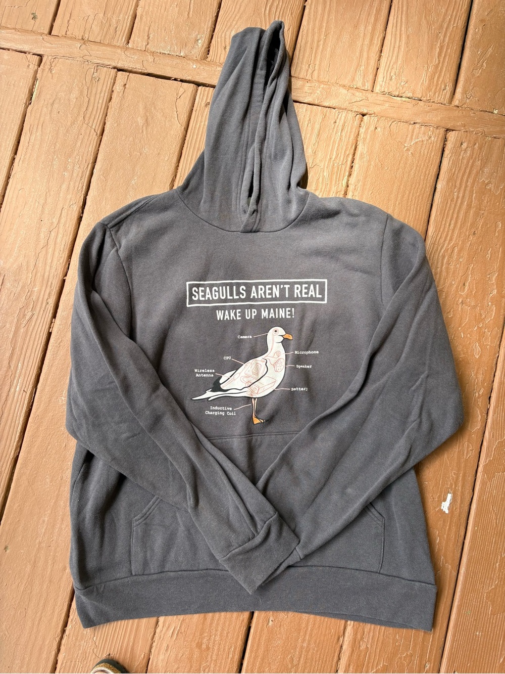 Seagulls Aren't Real Graphic Hoodie - Charcoal